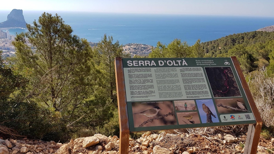 EL AYUNTAMIENTO DE CALP CREA RUTAS DE AVISTAMIENTO DE AVES PARA FOMENTAR EL TURISMO ORNITOLÓGICO