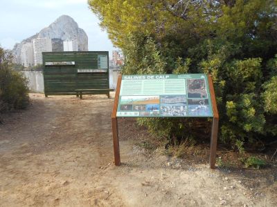 LAS SALINAS CUENTAN YA CON UNA RUTA DE AVISTAMIENTO DE AVES