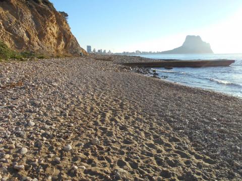 Calp Comptarà Amb Una Platja Per A Gossos de Manera Definitiva