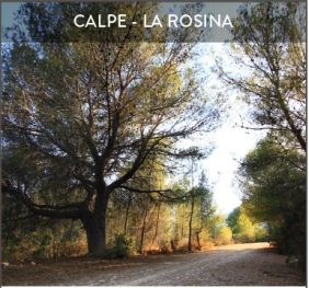 10. Calpe - La Rosina