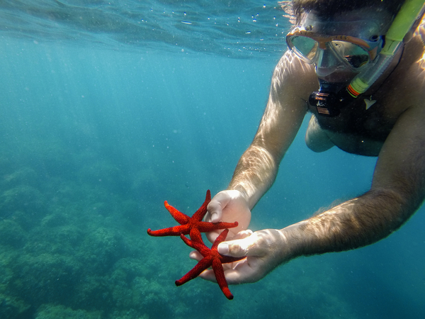 Submarinismo en Calpe