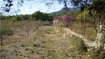 Camí del Cocó, Garduix i Cometa