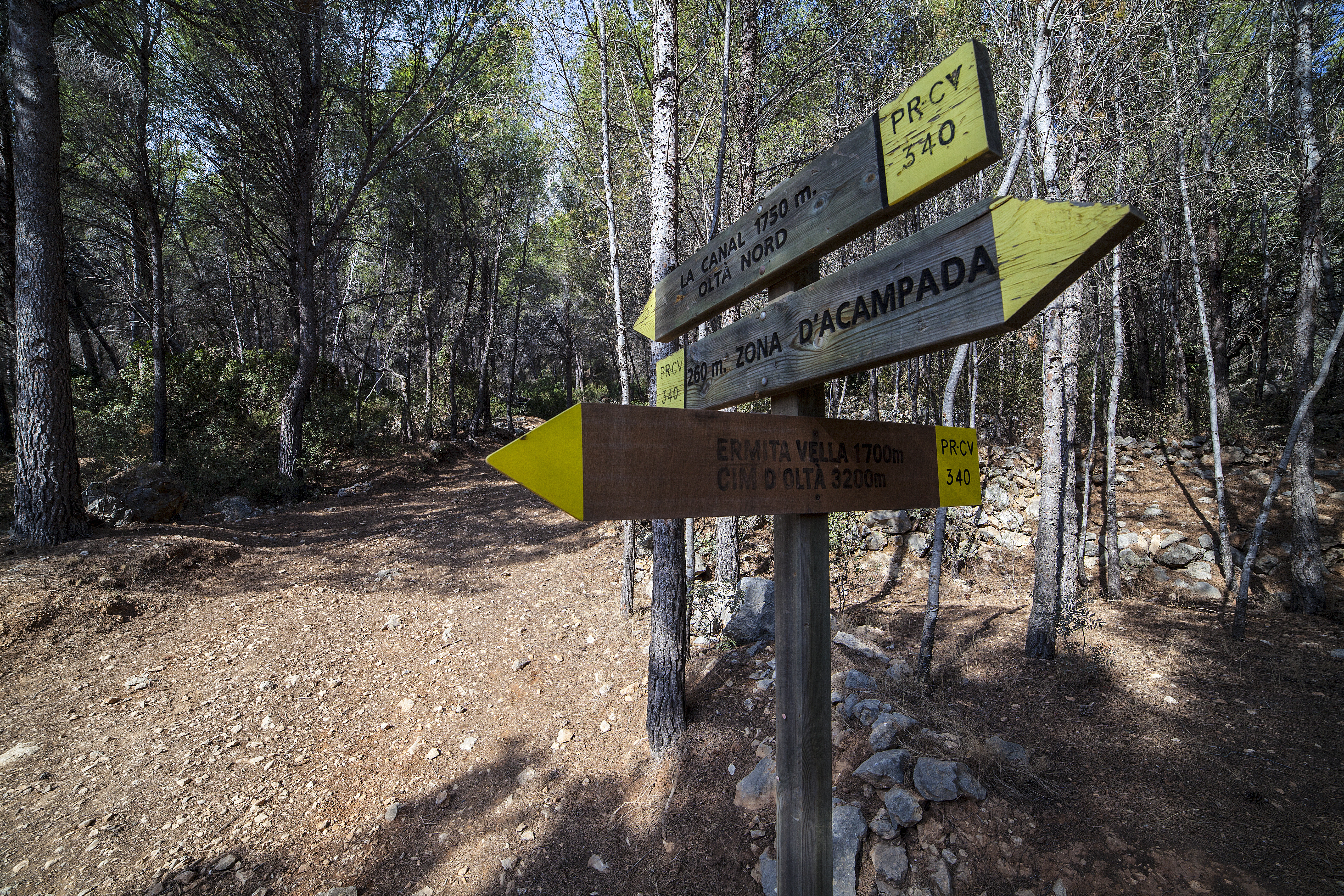 Camí del Cocó a Oltà