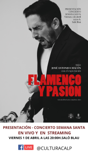 Flamenco y Pasión
