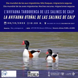 La avifauna otoñal de las Salinas de Calp