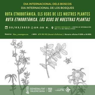Ruta etnobotánica: los usos de nuestras plantas
