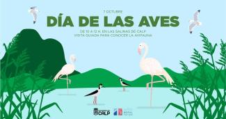 Día de las Aves