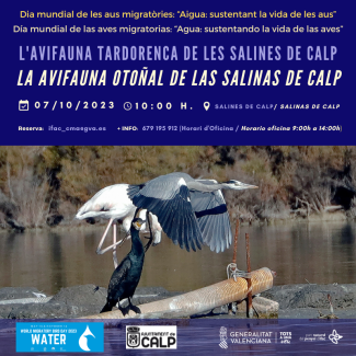 Día de las Aves