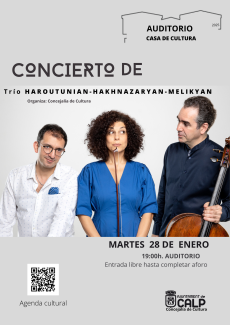 cartel del concierto