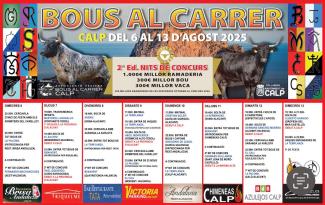 BOUS AL CARRER 2025