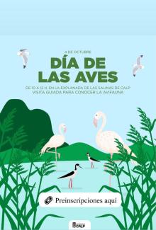 DIA DE LES AUS