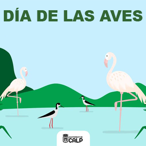 Día de las aves